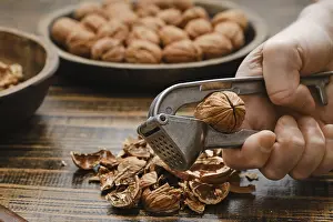Metal Nutcracker Prints: A person is cracking open a walnut using a metal nutcracker