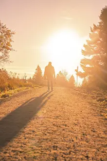 Central Europe Evening Sky Prints: Person on a forest path in the sunset