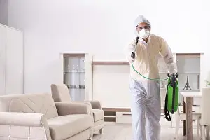 Natural Environment Wildlife Photography Prints: Pest control contractor working in the flat