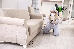 Natural Environment Pest Control Prints: Pest control contractor working in the flat