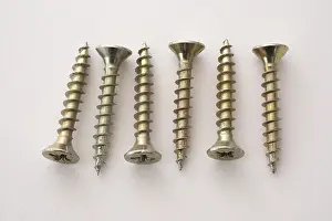 Light Colored Background Prints: Phillips screws on a white background