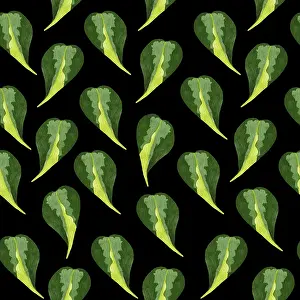 Indoor Leafy Plant Design Prints: Philodendron seamless pattern