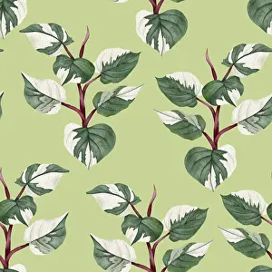 Potted Plant Prints: Philodendron Print: Hand-Drawn Houseplant Seamless Pattern