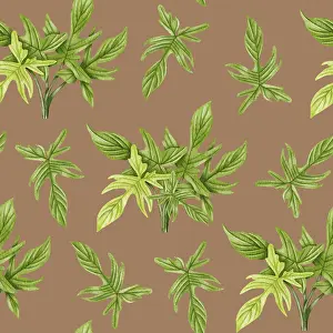 Framed Print : Philodendron Print - Houseplant Seamless Pattern Framed Print : Philodendron Print - Houseplant Seamless Pattern