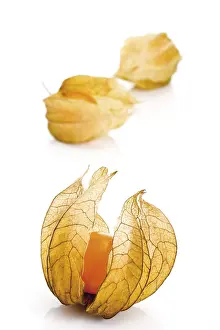 Studio Shot Of Fruit Prints: Physalis