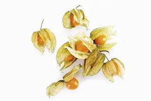 Ground Cherry Nutrition Prints: Physalis