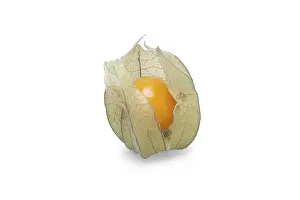 Fresh Produce Pictures Prints: One physalis with shadow on white background