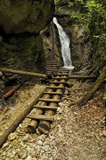 Prints of Picturesque view of a waterfall and wooden ladders in Slovak Paradise National Park Slovakia Prints: Picturesque View Print of Slovak Paradise National Park