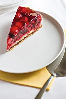 Sweet Treats Studio Shot Prints: A piece of raspberry pie