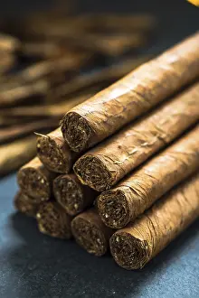 Cuban Cigars Prints: Pile of authentic cuban cigars