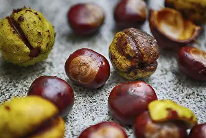 Sweet Chestnuts Prints: A pile of chestnuts