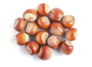 Hazelnut Nutrition Prints: Pile of hazelnuts with shell isolated on white background