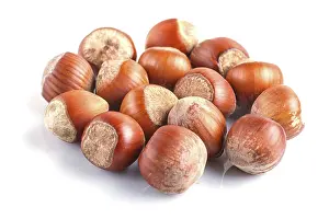 Healthy Eating Nuts Prints: Pile of hazelnuts with shell isolated on white background