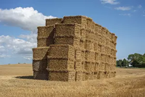 Agricultural Landscape Sweden Prints: Pile of rectangular straw bales at Ystad