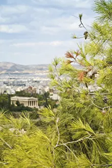 Temple Of Hephaestus Prints: Pine branch and view of the temple of Hephaestus