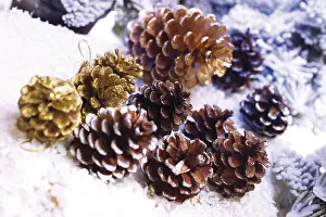 Christmas Pine Cones Prints: Pine cones in the snow