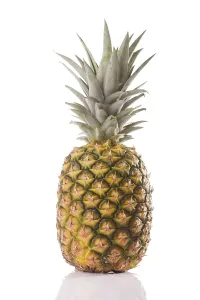 Fresh Fruit Grocery Prints: Pineapple