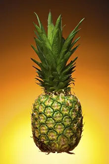 Studio Background For Food Photography Prints: Pineapple
