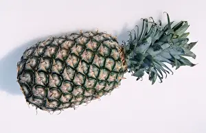 Grocery Store Produce Prints: Pineapple fruit (Ananas comosus)