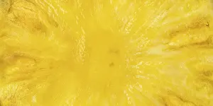 Panorama View From Above Prints: Pineapple fruit background from above panorama