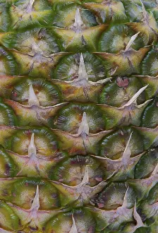 Full Frame Pineapple Photo Prints: Pineapple, pineapple