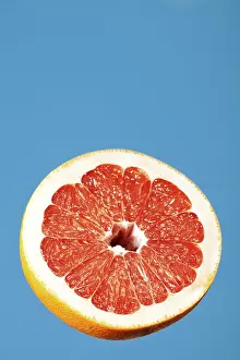 Citrus Fruit Still Life Prints: Pink grapefruit