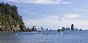 US American Coastal Landscape Prints: Pinnacles on the coast at La Push
