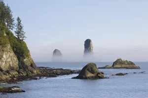 US American National Parks Prints: Pinnacles on the coast at La Push