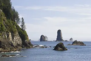 Rocky Shoreline USA Prints: Pinnacles on the coast at La Push