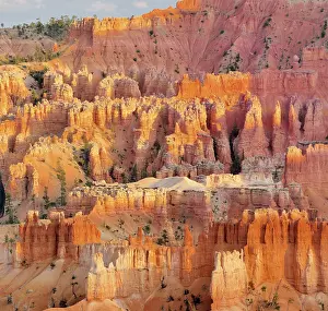Utah Landscape Photography Prints: Pinnacles in the evening light