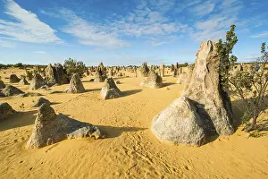 Desert Landscape Photography AUSTRALIA Prints: The Pinnacles limestone formations