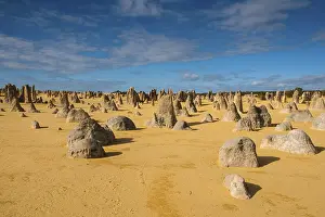 Western Australia National Parks Prints: The Pinnacles limestone formations