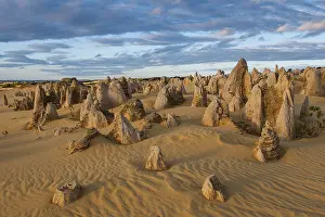 Western Australian Desert Landscape Prints: The Pinnacles limestone formations