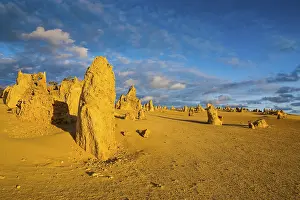 Western Australian Desert Landscape Prints: The Pinnacles limestone formations