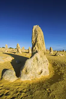 Western Australian Desert Landscape Prints: The Pinnacles limestone formations