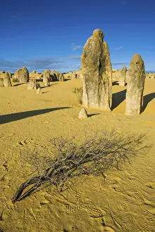 Desert Landscape Photography AUSTRALIA Prints: The Pinnacles limestone formations