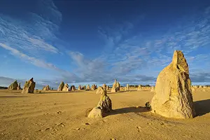 Desert Landscape Photography AUSTRALIA Prints: The Pinnacles limestone formations