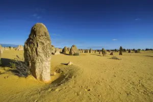 Western Australian Desert Landscape Prints: The Pinnacles limestone formations