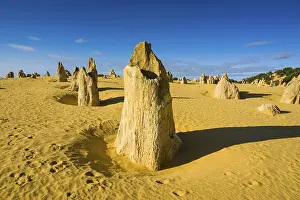 Australian National Parks Scenic Views Prints: The Pinnacles limestone formations