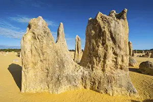 Western Australian Desert Landscape Prints: The Pinnacles limestone formations