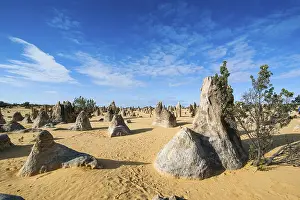 Western Australian Desert Landscape Prints: The Pinnacles limestone formations