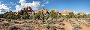 US American Desert Landscape Prints: Pinnacles, rock formations The Needles District