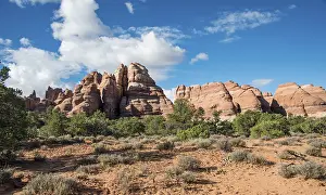 American National Park Scenery Prints: Pinnacles, rock formations The Needles District