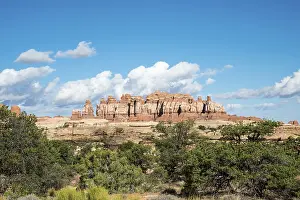 Eroded Sandstone Landscapes Prints: Pinnacles, rock formations The Needles District