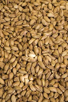 Sapindaceae Plant Prints: Pistachio nuts with shell ready to eat