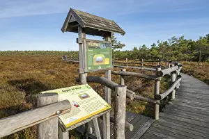 Deserted Swamp Landscape Photo Prints: Plank path through the Black Moor