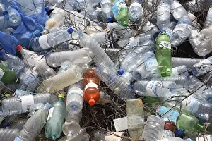 Empty Plastic Bottles Prints: Empty plastic bottles