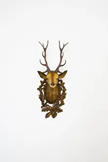 Plastic Deer Head Prints: Plastic deer head, frontal view