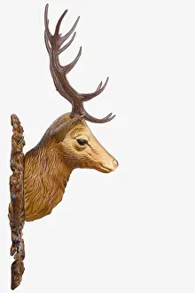 Plastic Hunting Trophies Prints: Plastic deer head, profile