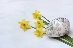Spring Awakening Prints: Plastic easter egg and daffodil, Easter